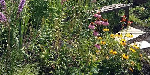 In-Person Native Plant Sale