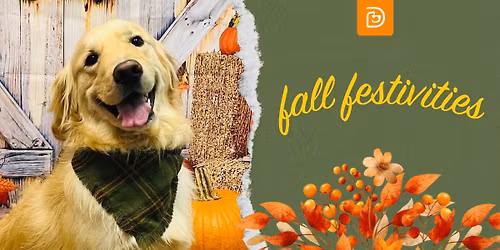 Fall Apple Bobbing Bash!