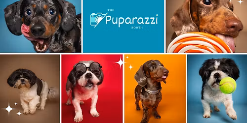 Tilly's Treat Cupboard Christmas Pop Up