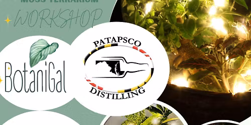 Enchanted Forest Floor Terrarium @ Patapsco Distilling 