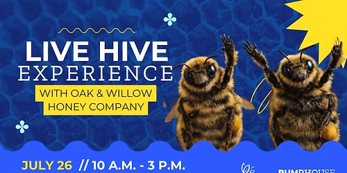  Live Hive Experience - with Oak & Willow Honey Company