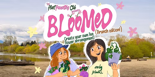 Bloomed: Live Flower Arrangement