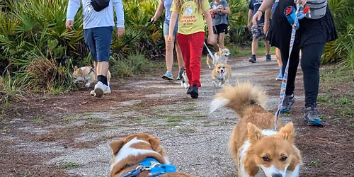 Walk & Wag Father's Day Corgi Meetup