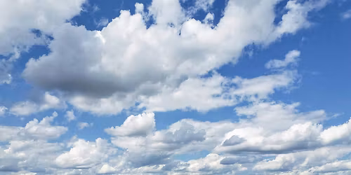 Summer on the Konza Prairie