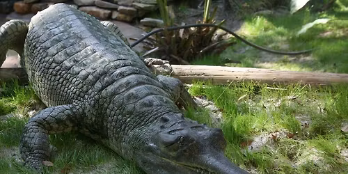 Exkurse na oslavu 35. v\u00fdro\u010d\u00ed TSP