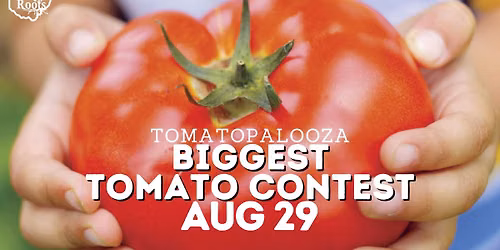 Biggest Tomato Contest