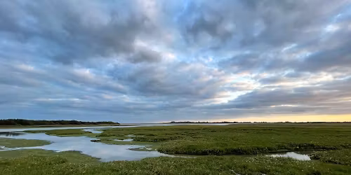 The Burgh Field Trip (afternoon walk for Owls)