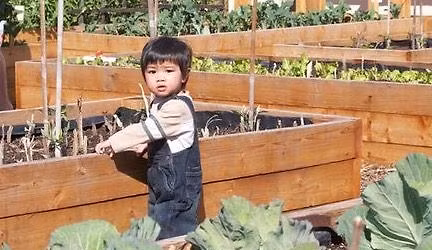 Adapting Your Garden to Fit You