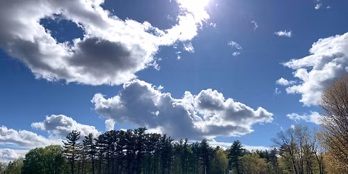 The Public Value of Pepperell's Forests and Urban Shade Trees