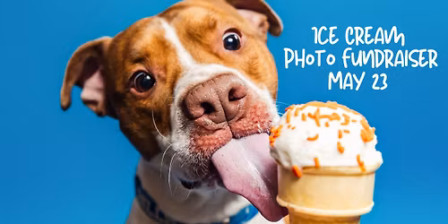 Ice Cream Photo Fundraiser at the Barkery