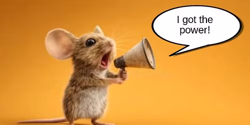 The Power of Conncections