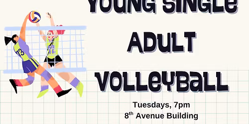 Young Single Adult Volleyball Night with Missionaries