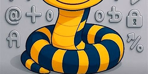 Python Coding Fast-track Mini Boot Camp, 12-weeks,  Saturdays