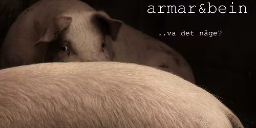 Littla aft\u00e5 med Armar og Bein