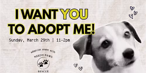 Needy Paws Adoption Event at K9 Garden