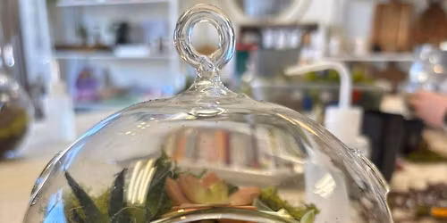 Hanging Succulent Terrarium