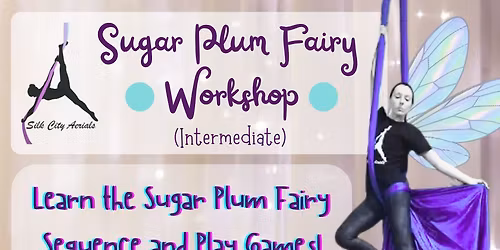 Sugar Plum Fairy Workshop (ages 8 and up)