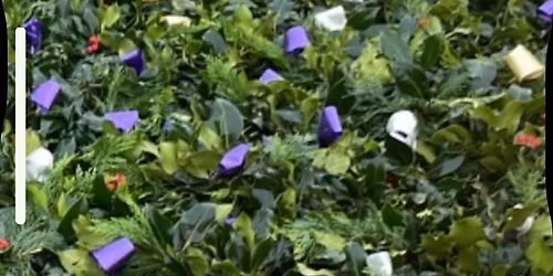 Christmas Wreath Workshop