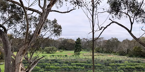 WINTER HERITAGE FRUIT TREE FESTIVAL
