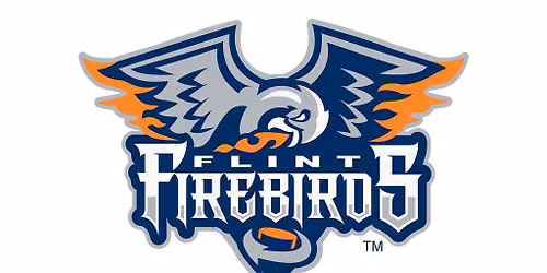 Flint Firebirds vs. Brampton Steelheads