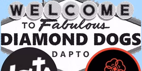 THE SOCIAL DEAD \/\/ ANALOGUE DREAMS \/\/ LATE \/\/ RED VIOLET - LIVE @ DIAMOND DOGS DAPTO 