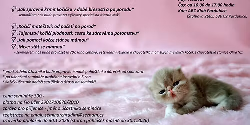 Ko\u010di\u010d\u00ed semin\u00e1\u0159 o plodnosti, b\u0159ezosti a porodu ko\u010dek