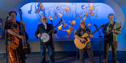 First Friday at the Hops & Fog with Hovering Breadcat