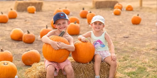 Pumpkin Pic-A-Nic