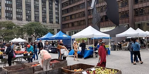 Daley Plaza Creative Arts Expo