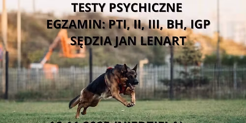 Testy psychiczne oraz egzamin: PT I, II,III, BH, IGP I.