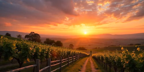 5-day Camino de Santiago Appetiser Walking Adventure