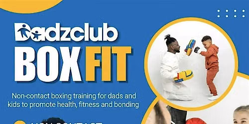 Dadzclub Boxfit