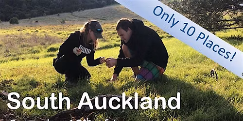 Auckland South Forage fun!