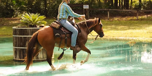 Equine Trail Sports Obstacle Course and Trail Challenge