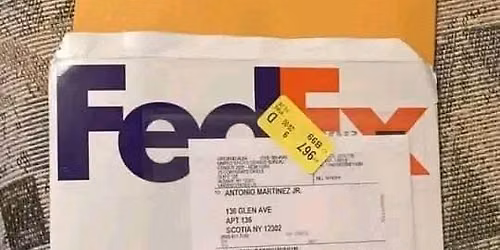 I\u2019m Milana Vayntrub from FedEx company