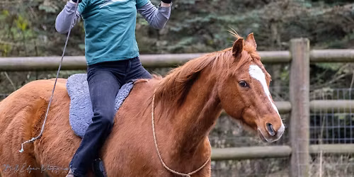 Horsemanship Clinic Nov 22 2025