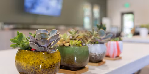 Plant Workshop: Succulent Dish Planting