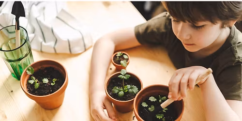 Spring Crafts for Kids