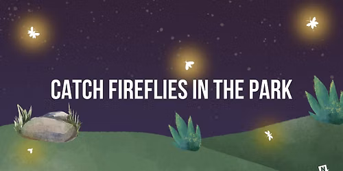 Catch Fireflies in the Park