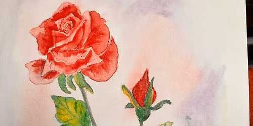 Watercolor - June Rose