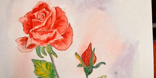 Watercolor - June Rose