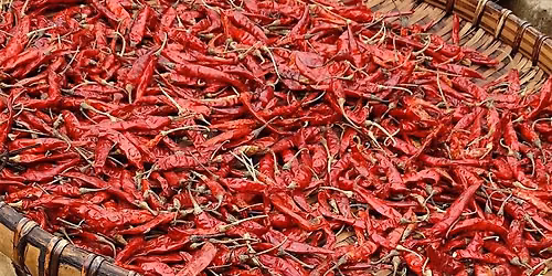 Micro Class: Global Chilis\u2014Sambal, Harissa, and Chili Crisp, $50