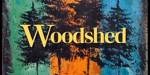 Woodshed plays The Sturbridge Town Common