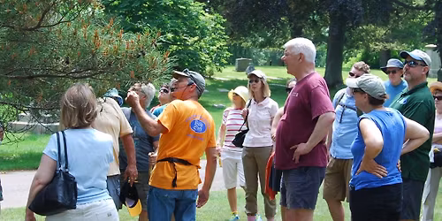 Tree Walk \u2013 Connecticut Trails Day