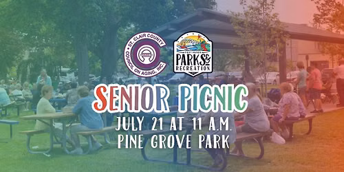 Senior Picnic
