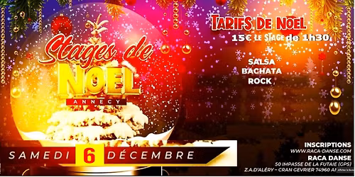 STAGES de NOEL  SPECIAL d\u00e9butants SALSA BACHATA ROCK
