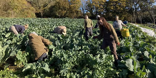 Teign Greens November Volunteer Morning!