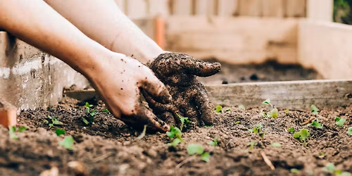 Community Garden Spring Cleanup and Planting Day