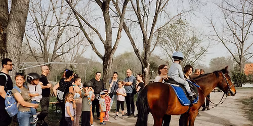 Boldog Ny\u00fal a Lovard\u00e1ban-ingyenes h\u00fasv\u00e9ti csal\u00e1di program