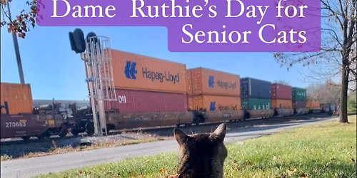 Dame Ruthie\u2019s Day for Senior Cats